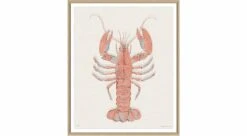 Aruba 8 - Orange Lobster - Special Order