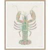 Aruba 5 - Tan Lobster - Special Order