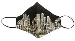 Boston Mask Nighttime Skyline