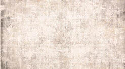Cadiz Light Gray Ivory Rug