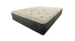 Willow Latex Plush Hybrid Mattress