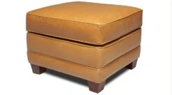 Ethan Chair -Furniture Sale Store Ethan Ottoman main