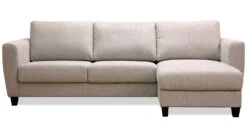 Flex XL Sectional Sleeper