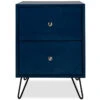 Newton 2 Drawer Nightstand