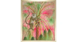 Patas Monkey On Pink 1