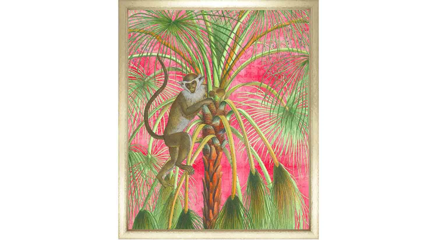 Patas Monkey On Pink 1 1 Patas Monkey On Pink 1