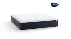 Sky Plush 15" Mattress By Stressless