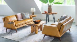 Nash Sofa -Furniture Sale Store alt room view nash main