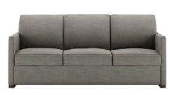 Pearson Comfort Sleeper