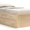 Shaker Captain's 3 Drawer W/Trundle Bed By Revolution Furnishings